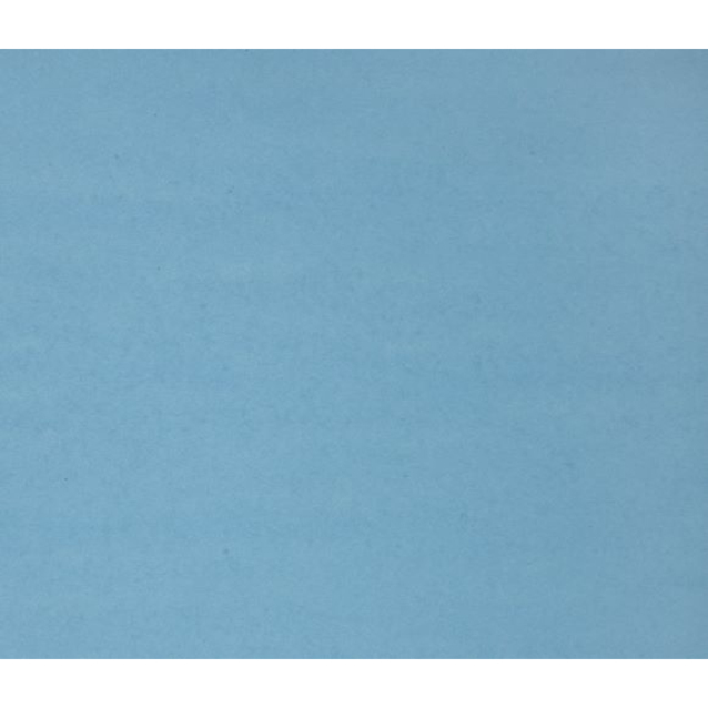 CARTON 4 PLIS 22x28'' BLEU 48 / emballage