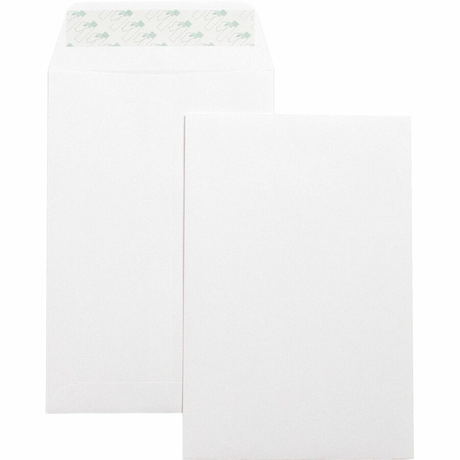Business Source - Enveloppes autocollantes pour catalogues 6"x9" 100 / boîte