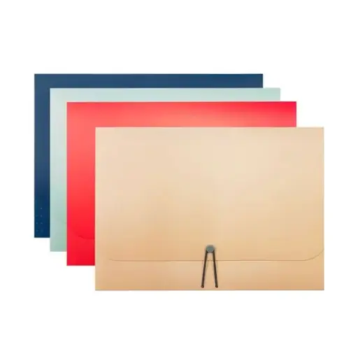 [EF-13PC-AD2] CLASSEUR  EXPANSIBLE 13x9.5" 13 POCHETTES COULEURS ASSORTIES 