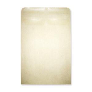 [5900420FSC] Enveloppes pour catalogue 5-3/4" x 9-1/2" naturelles, 500/boîte