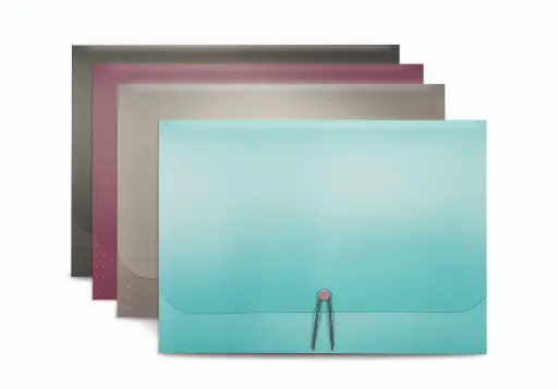 [EF-13PC-AD1] CLASSEUR  EXPANSIBLE 13x9.5" 13 POCHETTES COULEURS ASSORTIES  